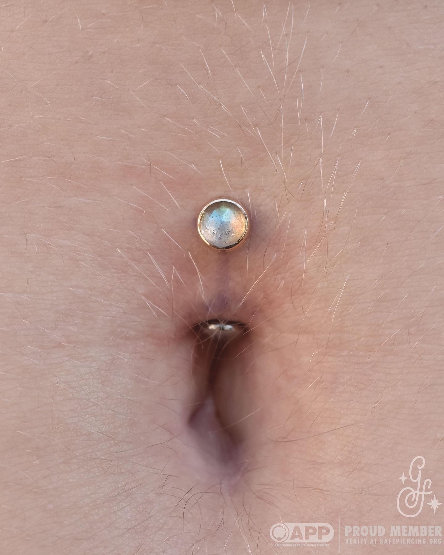 Bezel End - Rose Cut Labradorite - End Only-body jewelry-Alchemy Adornment-Yellow Gold-14g Threaded-