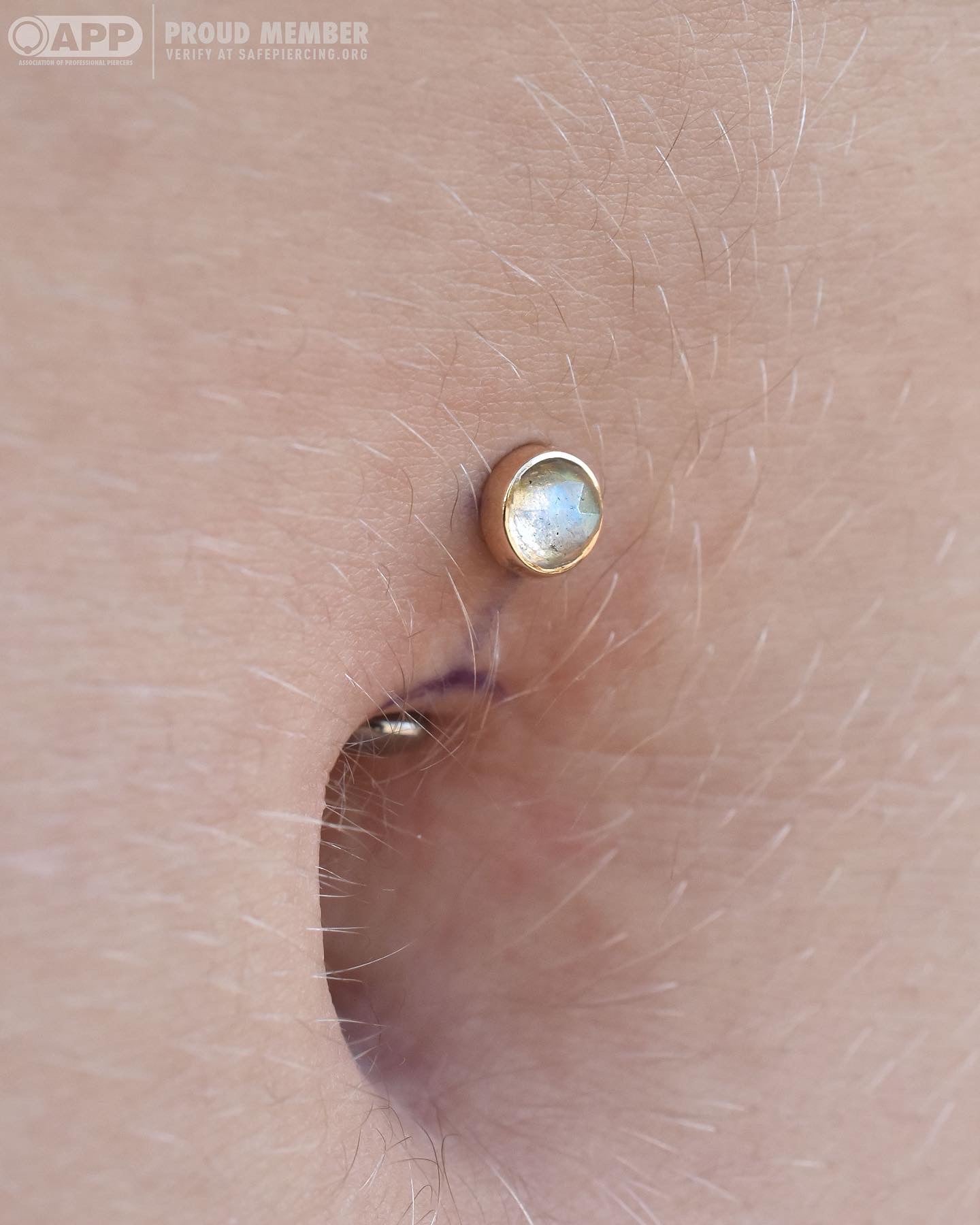 Bezel End - Rose Cut Labradorite - End Only-body jewelry-Alchemy Adornment-Yellow Gold-14g Threaded-