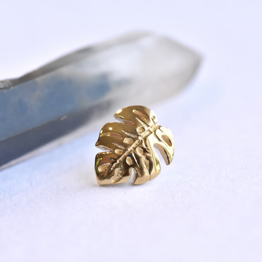 Duchess Monstera End - Pressure Fit End Only-body jewelry-Regalia-Yellow-Left-