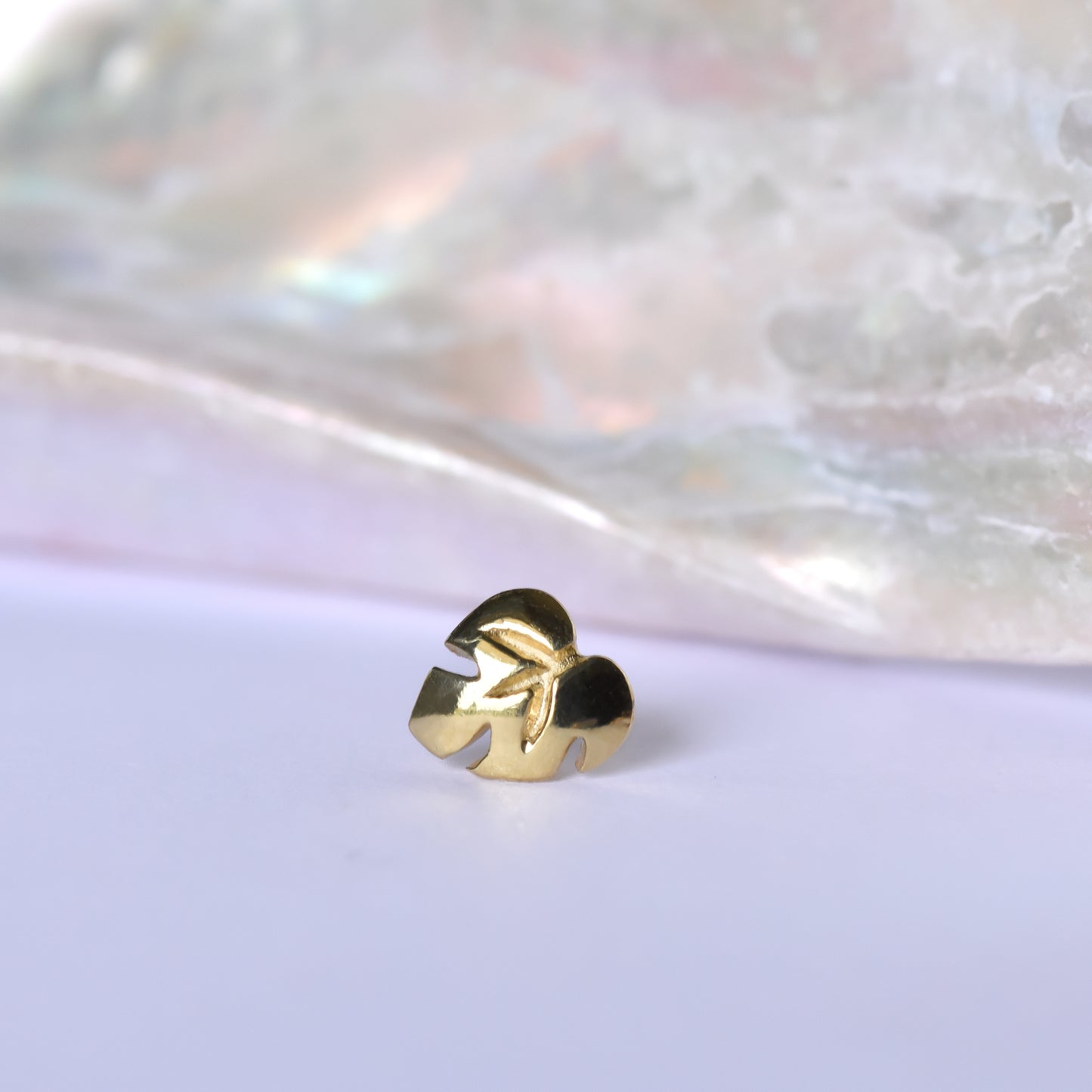 Baroness Monstera End - Pressure Fit End Only