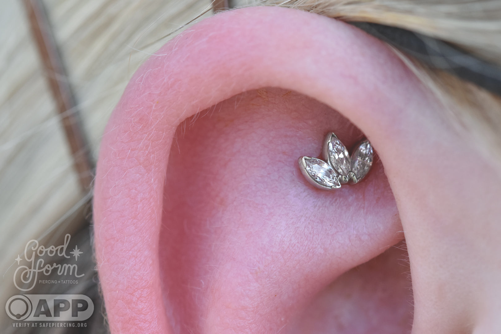 3 Gem Mini Marquise Fan - Clear CZ - Pressure Fit End Only-body jewelry-Anatometal-Rose-