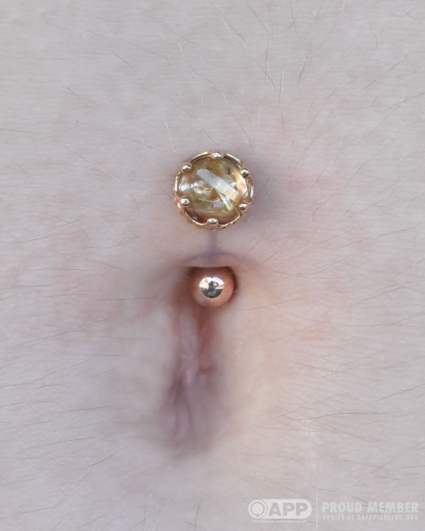 6mm Queen End - Rutilated Quartz - Threaded End Only-body jewelry-Anatometal-