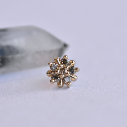5mm Arya Star - Champagne Diamonds- Pressure Fit End Only-body jewelry-Alchemy Adornment-