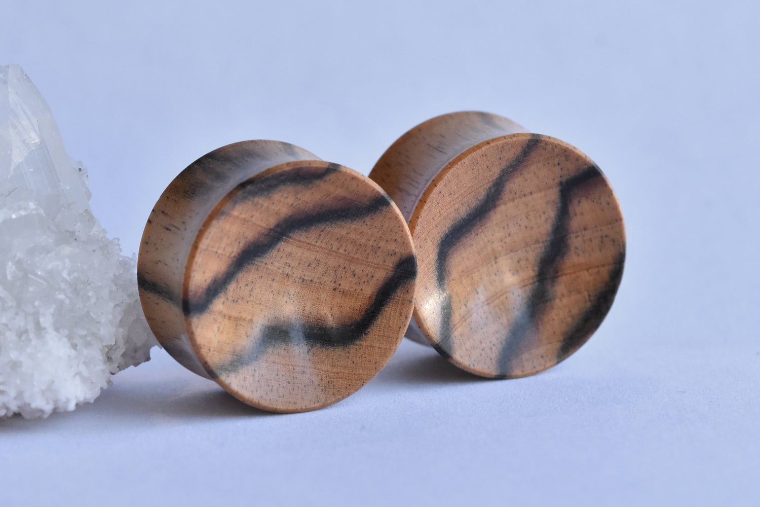 3/4" Double Flare Bishop Organics Concave Wood Plugs - Pair-body jewelry-bishop organics-